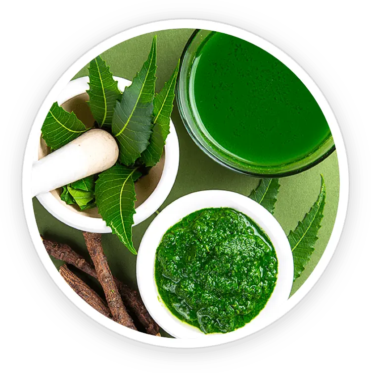 Neem leaves and green oil displayed with mortar and pestle, representing neem essence.